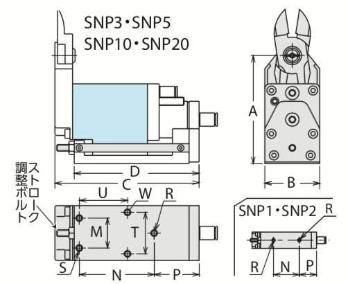 SNP-1.png